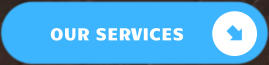 OUR SERVICES